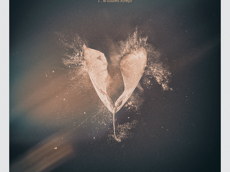 Sweet 84 (T Williams Remix) (Single)