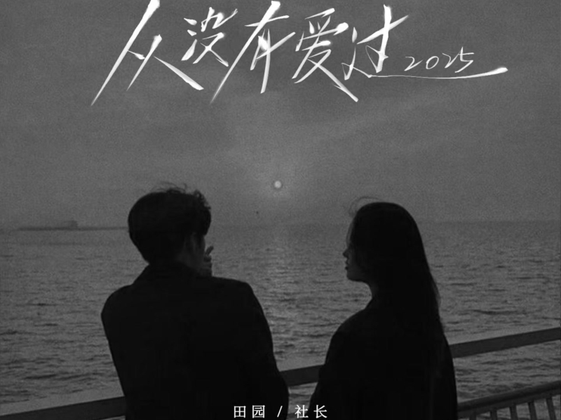 从没有爱过 (2025) (Single)