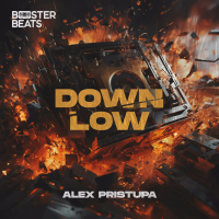 DOWN LOW (Single)