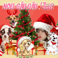 Noel Gâu Gâu (Single)