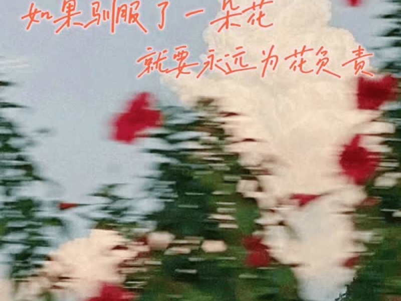 如果驯服了一朵花 就要永远为花负责 (Single)