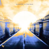Sunshine in the Rain (Single)