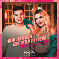 O Amor Que Tu Perdeu (Single)