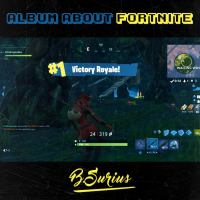 Album About Fortnite