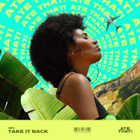 Take It Back (Single)