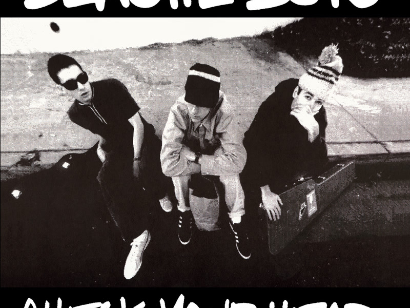 Check Your Head (Deluxe Edition/Remastered/2009)