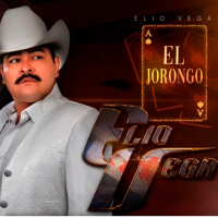 El Jorongo (Single)