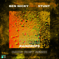 Raindrops (David Rust Remix) (Single)