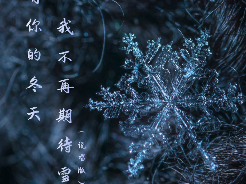 有你的冬天我不再期待雪 (说唱版) (Single)
