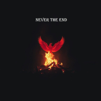 never the end (Single)