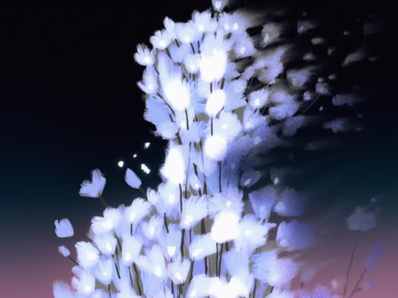 Bright Side (Single)