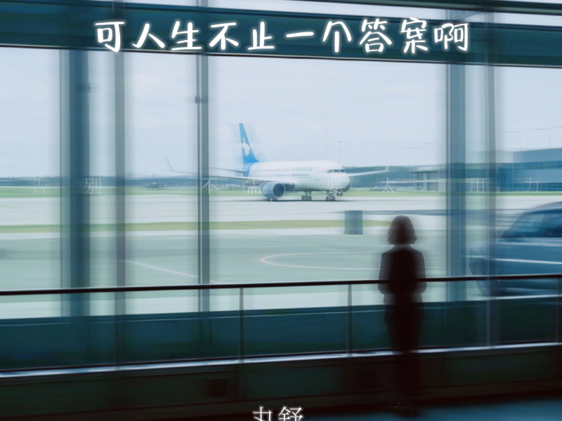 可人生不止一个答案啊 (Single)