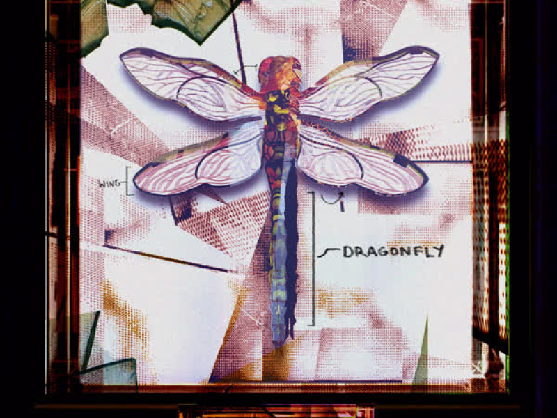 Dragonfly