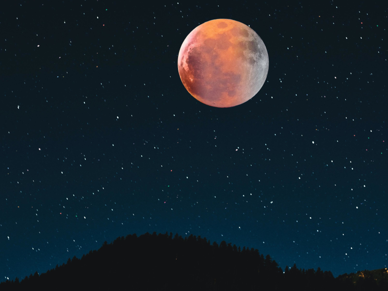 Fly Me To The Moon (Single)