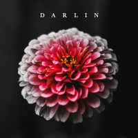 Darlin (Single)