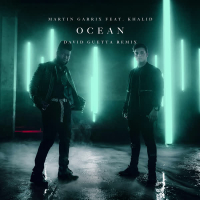 Ocean (David Guetta Remix) (Single)