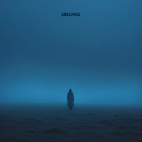 i can't describe this feeling (Single)