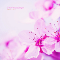 Pink landscape (Single)