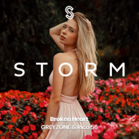 Broken Heart (Single)