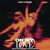 On My Love (Niklas Dee Remix) (Single)