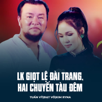 LK Giọt Lệ Đài Trang, Hai Chuyến Tàu Đêm (Single)