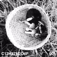 Paseo C12H17N2O4P (Single)