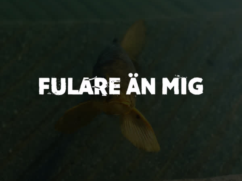 Fulare än mig (Single)