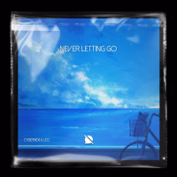 Never letting go (Single)