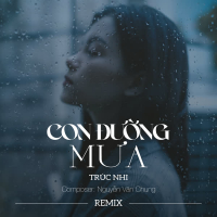 Con Đường Mưa Remix (Single)