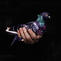 Judith Maria (Single)