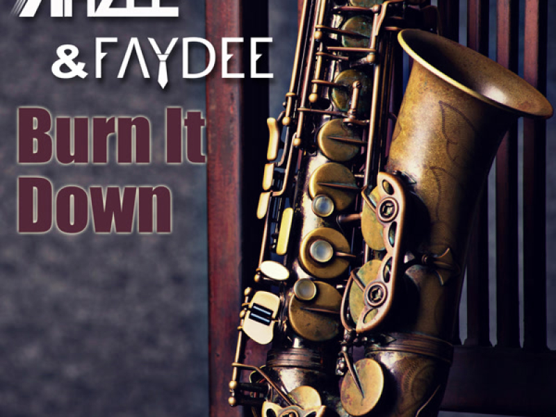 Burn It Down (Single)