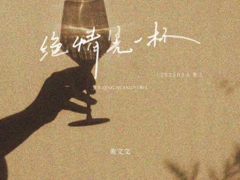 绝情晃一杯 (2025DJ合集) (Single)