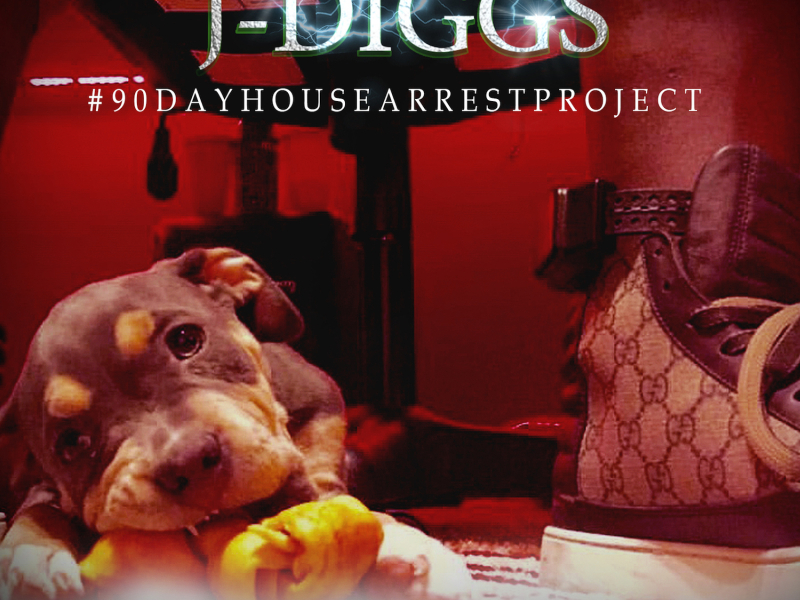 #90DayHouseArrestProject