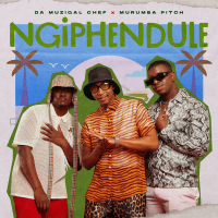 Ngiphendule (Single)