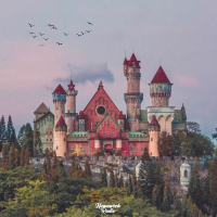 Castles & Birds (Single)