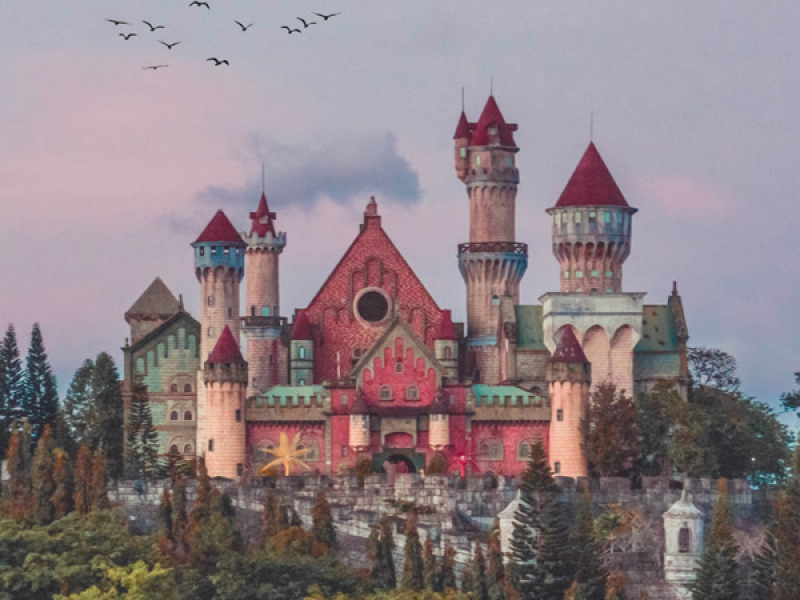 Castles & Birds (Single)