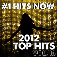 2012 Top Hits, Vol. 13