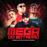 Mega do Botadão (Single)