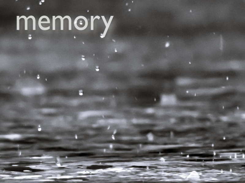 Memory (Single)