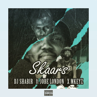 Skaars (Single)
