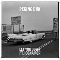Let You Down (Single)
