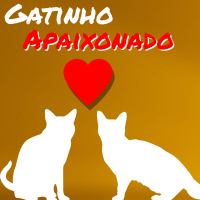 Gatinho Apaixonado (Single)