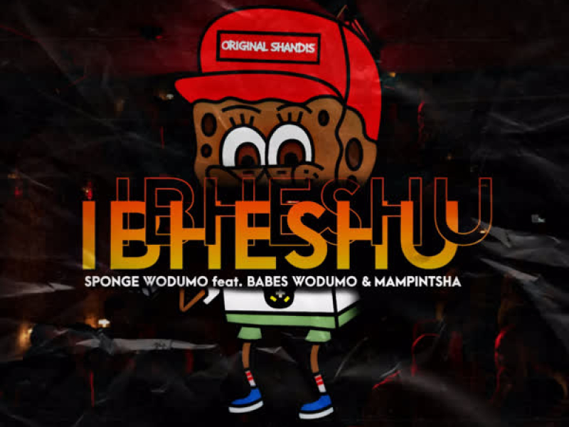 Ibheshu (Single)