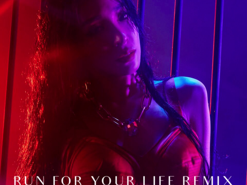 Run For Your Life (Remix)