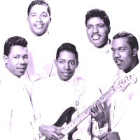 The Falcons 1955-1960