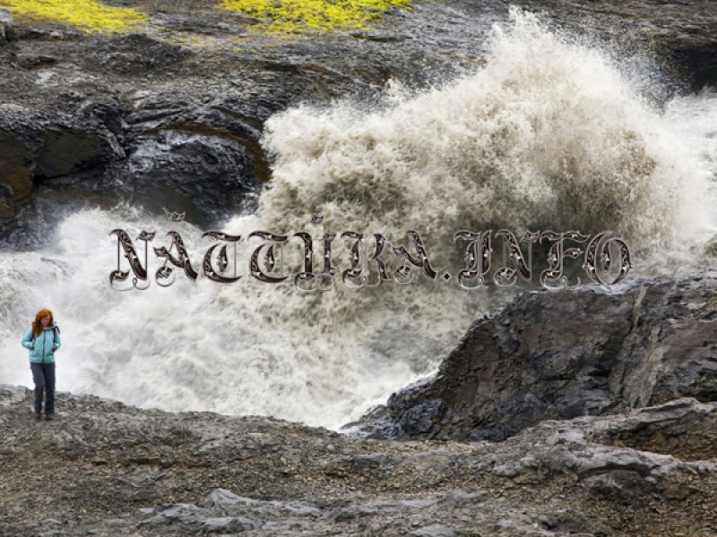 Náttúra (Switch Remix) (Single)