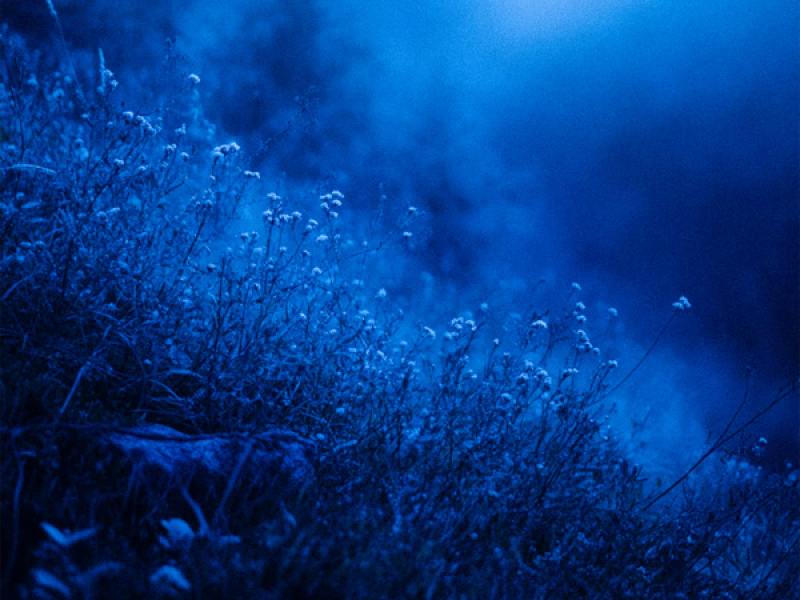 my happy place (Single)