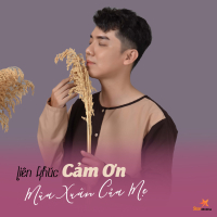 Liên Khúc Cảm Ơn - Mùa Xuân Của Mẹ (Single)
