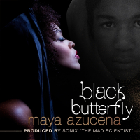 Black Butterfly