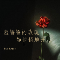 羞答答的玫瑰静悄悄地开 (DJ九零版) (Single)